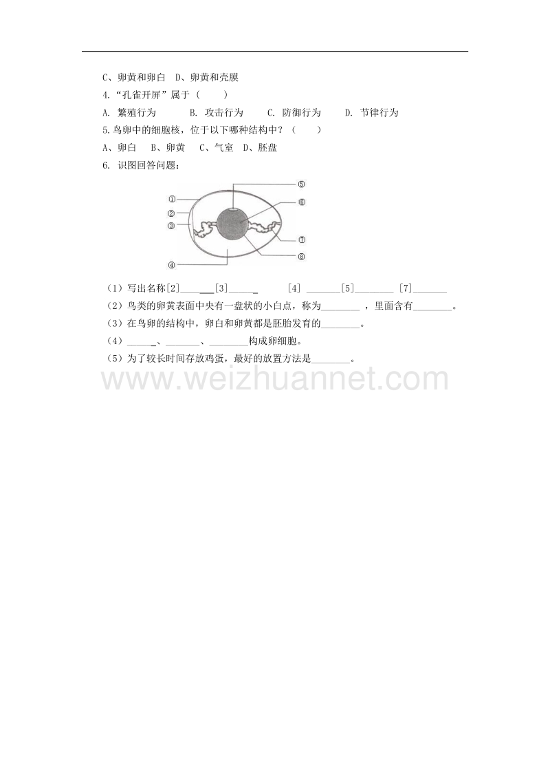 15-16学年八年级生物（人教版）导学案：第七单元第一章第四节鸟的生殖和发育.doc_第3页