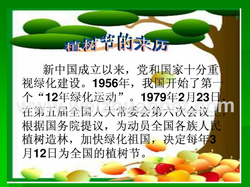 生命与绿色.ppt_第3页