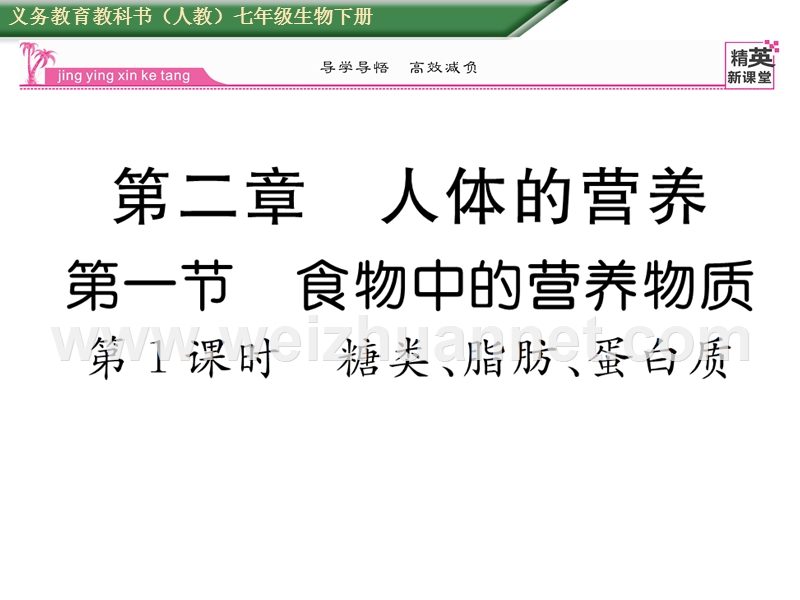 2016年春七年级生物下册课件：第二章 第一节    第1课时  糖类、脂肪、蛋白质.ppt_第1页