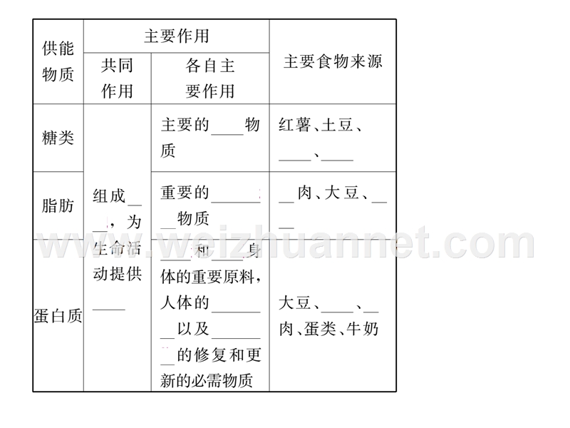 2016年春七年级生物下册课件：第二章 第一节    第1课时  糖类、脂肪、蛋白质.ppt_第3页