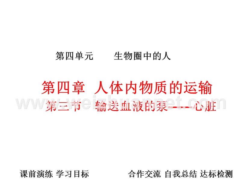 河南省三门峡市义马市第二初级中学七年级生物下册4.4.3 输送血液的泵—心脏（第1课时）课件 新人教版.ppt_第1页