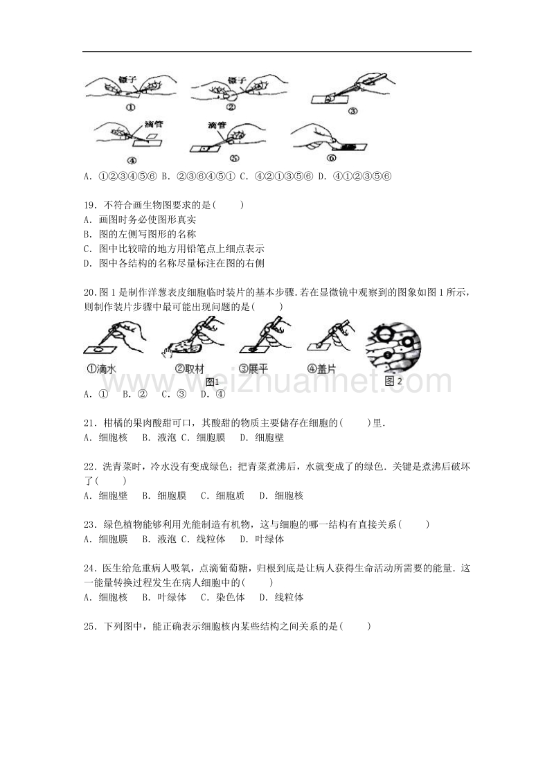 湖南省张家界市桑植县2015-2016学年七年级生物上学期期中试卷 新人教版.doc_第3页