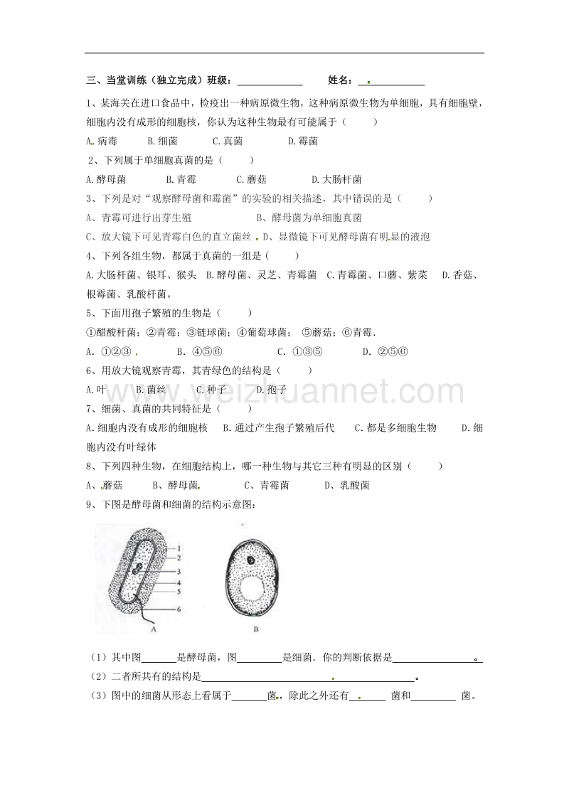 广东省河源中国教育学会中英文实验学校八年级生物上册5.4.3 真菌讲学稿 新人教版.doc_第2页