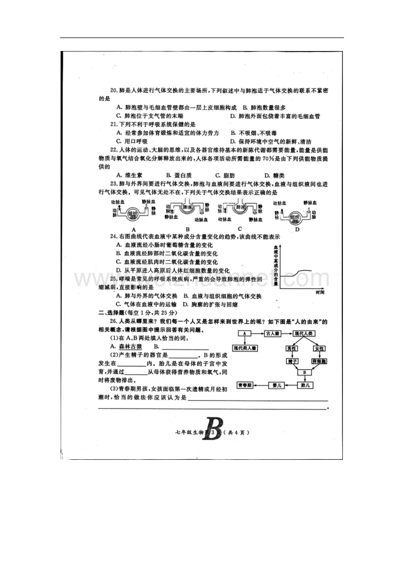 河南省宝丰县杨庄镇第一初级生物中学2015-2016学年七年级生物下学期期中试题 新人教版.doc_第3页