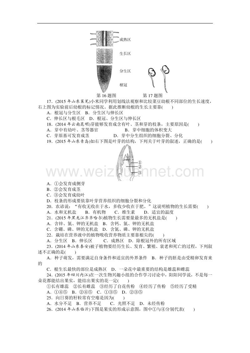 2016年《南方新中考》生物 第一部分 夯基提能 第三章　生物圈中的绿色植物.doc_第3页