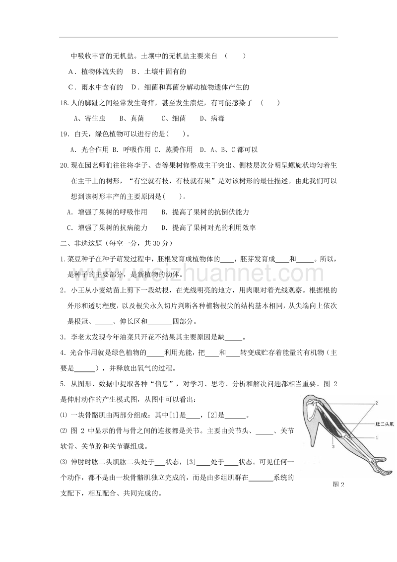 重庆市合川区古楼初级中学等八校2015-2016学年八年级上学期期末联考生物试卷.doc_第3页