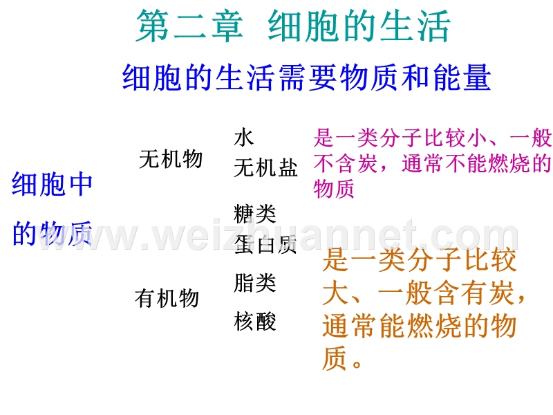 安徽省长丰县下塘实验中学七年级生物上册《2.1.4 细胞的生活》课件 新人教版.ppt_第1页