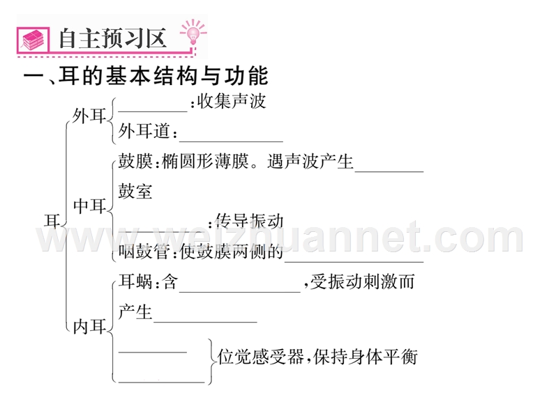 2016年春七年级生物下册课件：第六章 第一节   人体对外界环境的感知     第2课时   耳和听觉.ppt_第2页