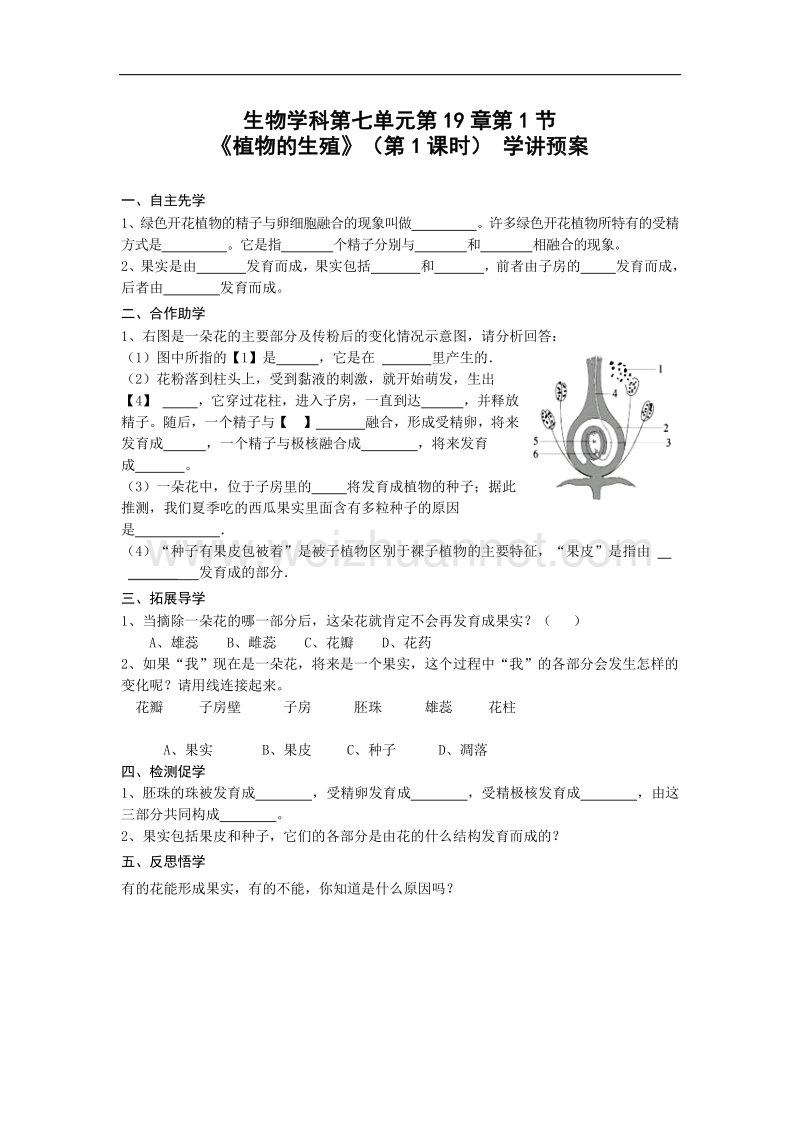 2015-2016学年八年级生物上册学案：19-1《植物的生殖》第一课时(苏科版).doc_第1页