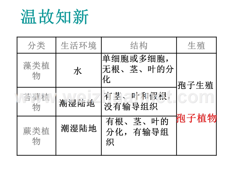 安徽省长丰县下塘实验中学七年级生物上册《3.1.2 种子植物》课件 新人教版.ppt_第1页