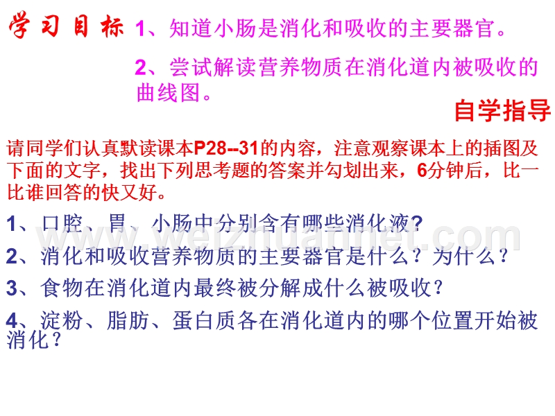 云南省盐津县豆沙中学七年级生物下册2.2 消化和吸收课件 新人教版.ppt_第2页