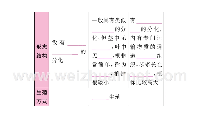 2016中考生物（重庆专版）复习配套课件：第一部分知识系统复习 第三单元 生物圈中的绿色植物（图片版）（共187张ppt）.ppt_第3页