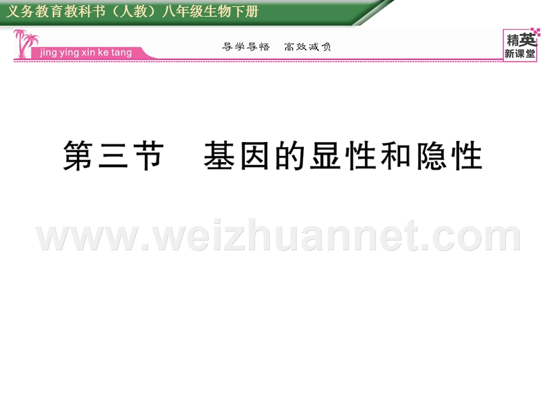 2016年春八年级生物下册课件：第七单元 第二章  生物的遗传与变遗第三节 基因的显性与隐形.ppt_第1页