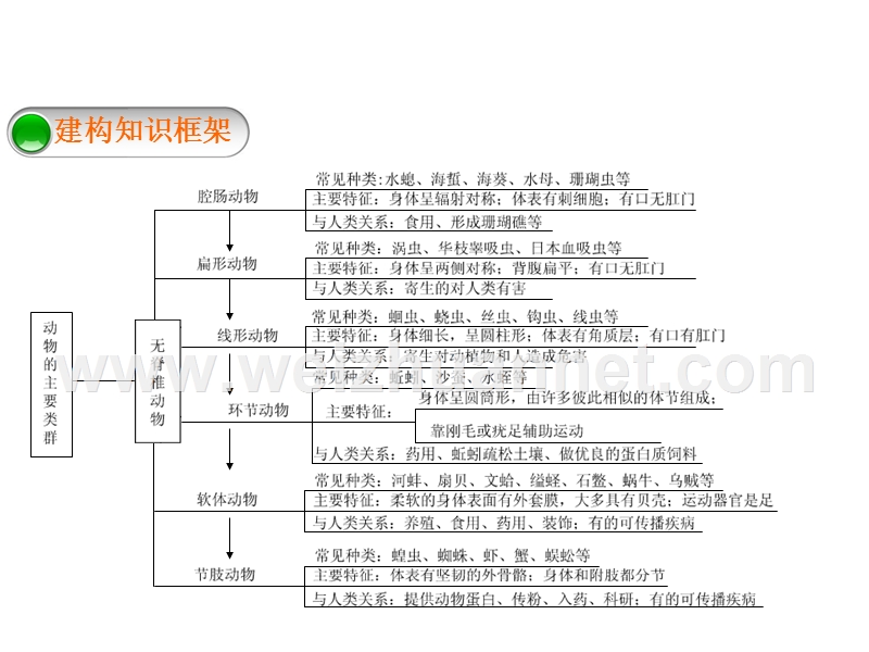 新人教版八年级上册生物第五单元第一章复习课件（共26张ppt）.ppt_第2页