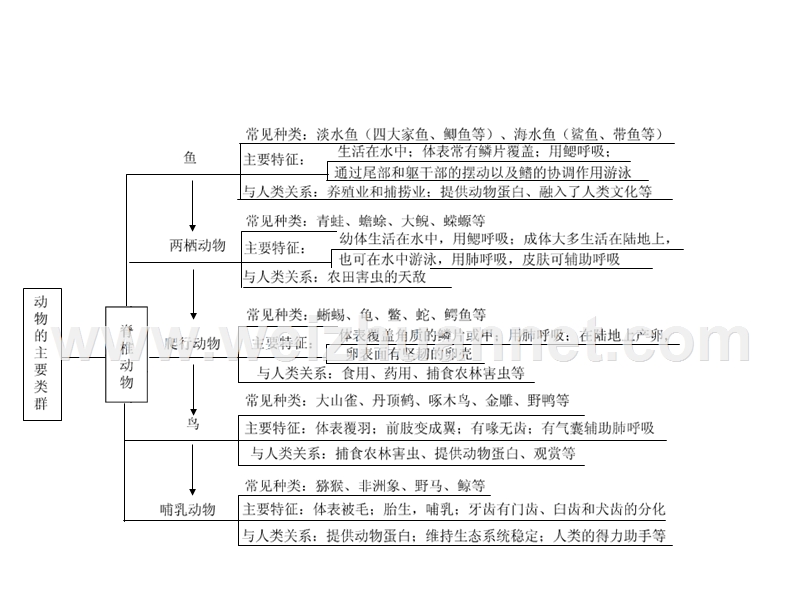 新人教版八年级上册生物第五单元第一章复习课件（共26张ppt）.ppt_第3页