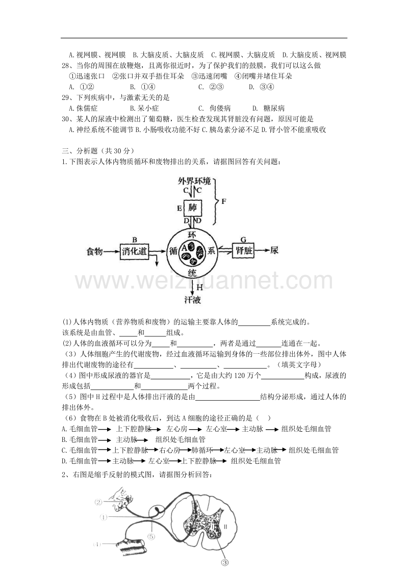 江苏省宜兴市丁蜀学区八校联考2015-2016学年八年级上学期期中考试生物试题.doc_第3页