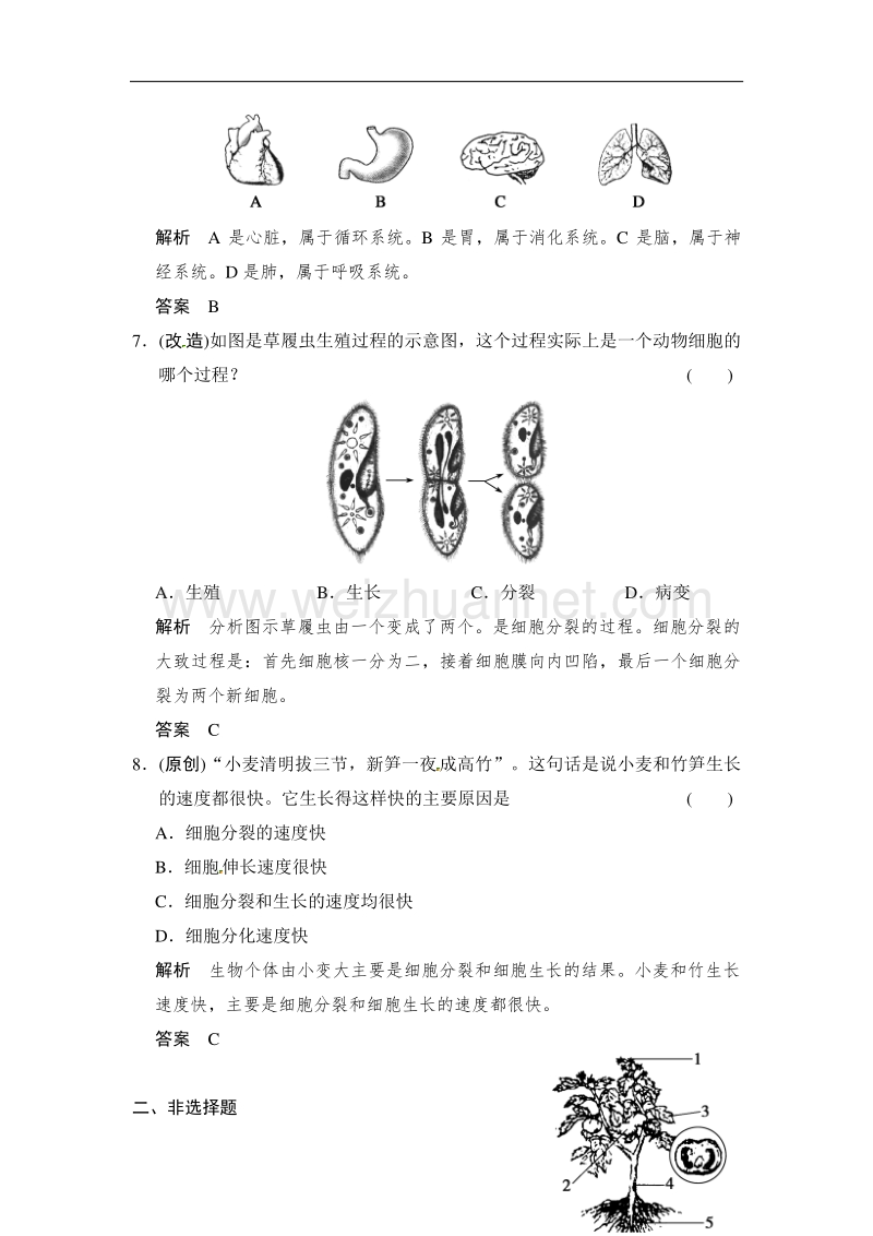 河北省沧州市献县垒头中学2016年生物中考模拟练：观察生物.doc_第3页