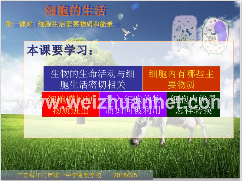 广东省江门第一中学景贤学校人教七年生物上册《2.2.4细胞的生活》课件.ppt_第1页