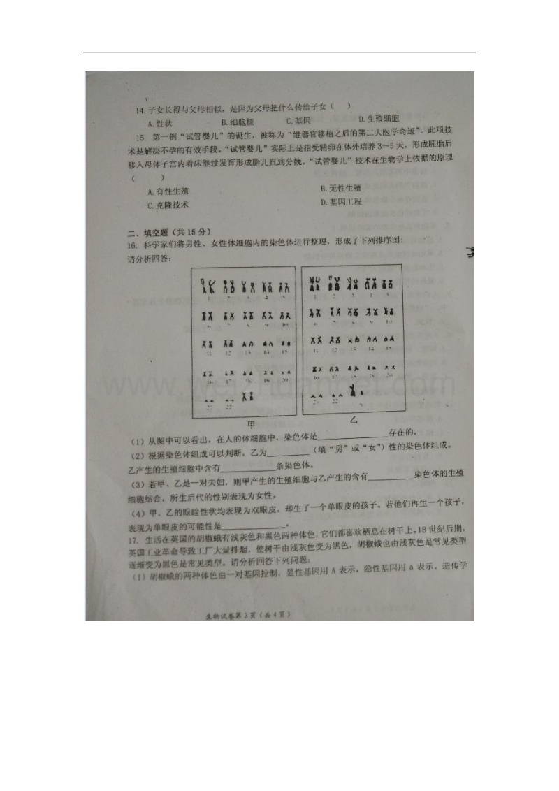 江西省吉安市2015-2106学年八年级生物下学期期中试题 河北少儿版.doc_第3页