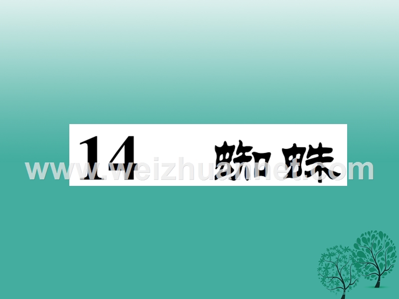 2017年七年级语文下册 第4单元 14 蜘蛛课件 语文版.ppt_第1页