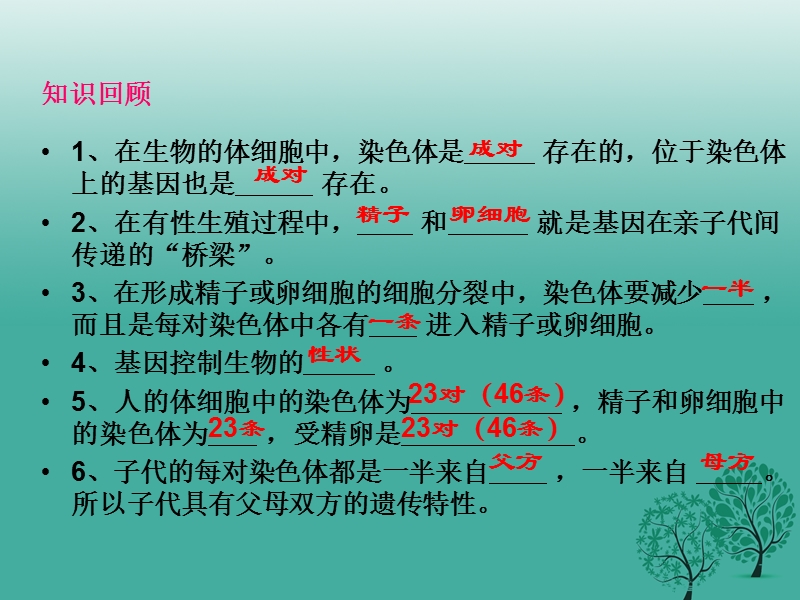 2017年八年级生物下册 第七单元 第三节 基因的显性和隐性课件1 （新版）新人教版.ppt_第2页