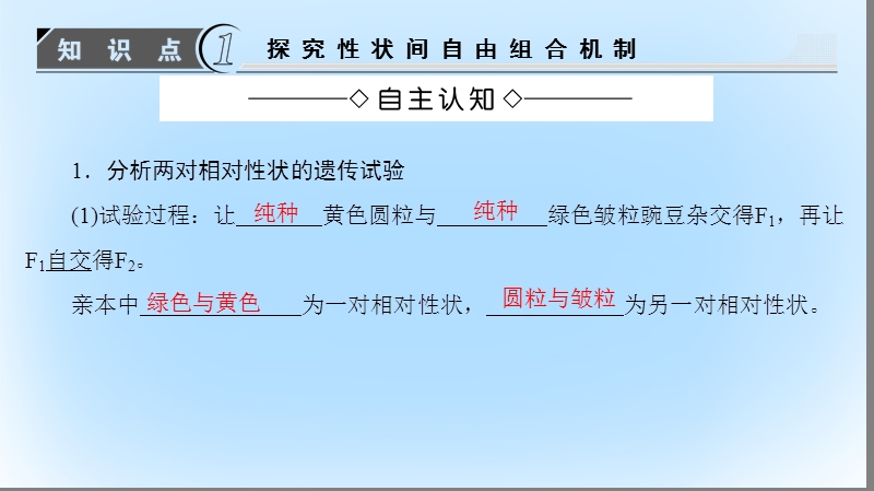 2017年高中生物 第2单元 遗传的基本定律 第2章 基因的自由组合规律 第1节 自由组合规律试验课件 中图版必修2.ppt_第3页