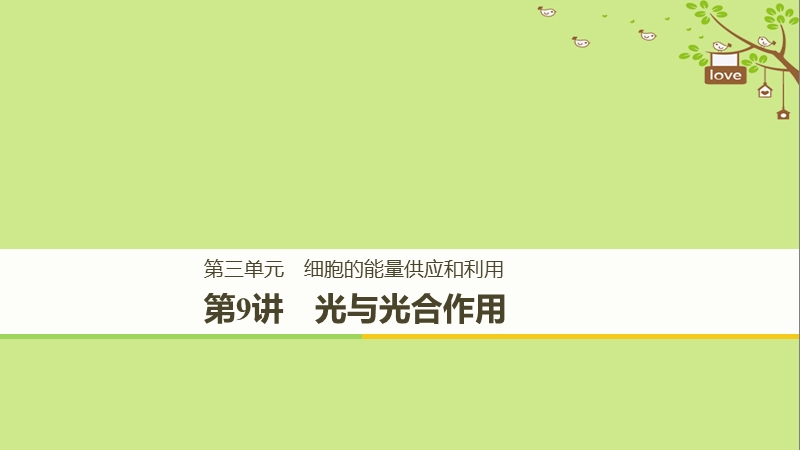 2018-2019学年高考生物大一轮复习 第三单元 细胞的能量供应和利用 第9讲 光与光合作用课件.ppt_第1页