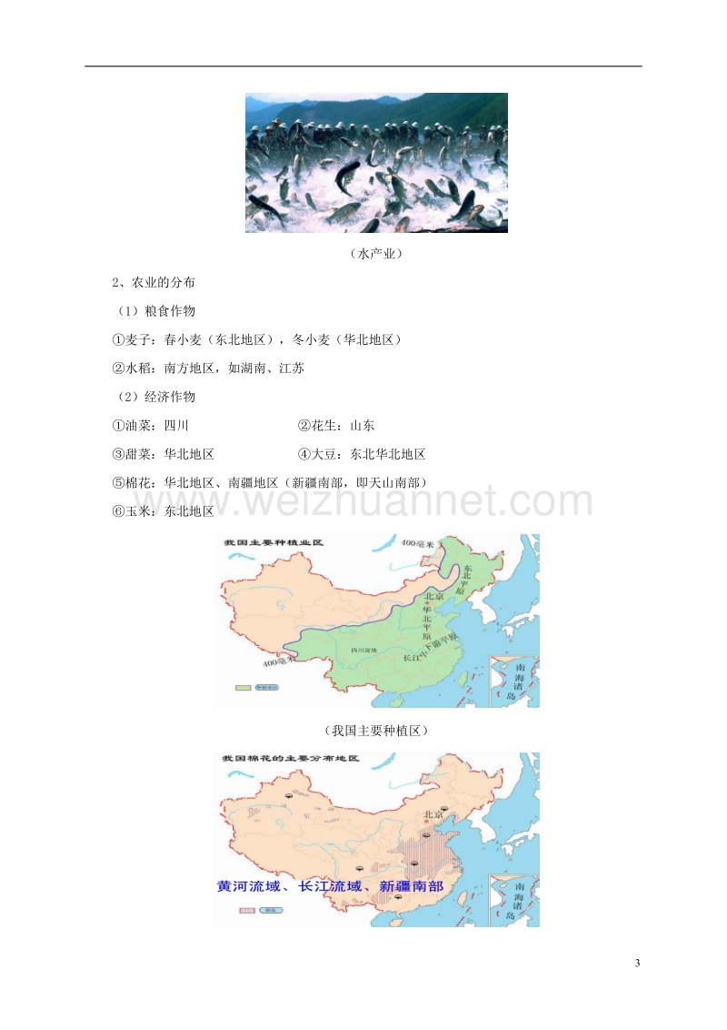 2017年八年级地理上册 4.1 农业教案 （新版）粤教版.doc_第3页