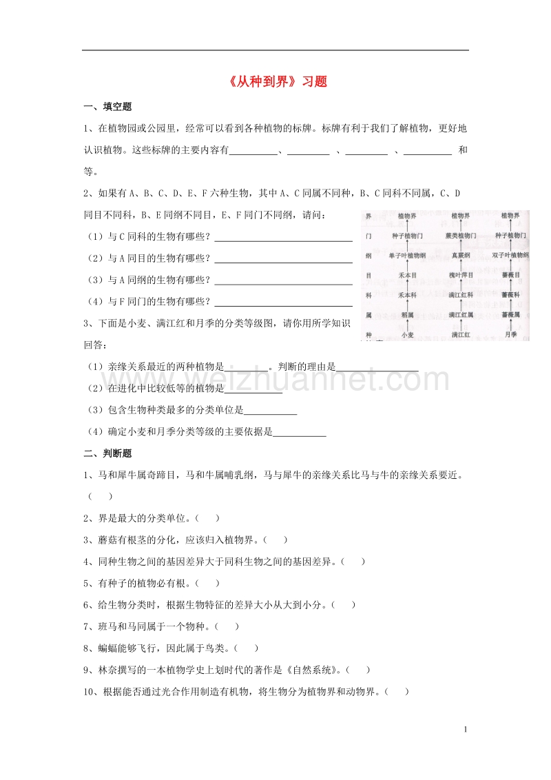 2017年八年级生物上册 第六单元 第一章 第二节 从种到界习题4（无答案）（新版）新人教版.doc_第1页