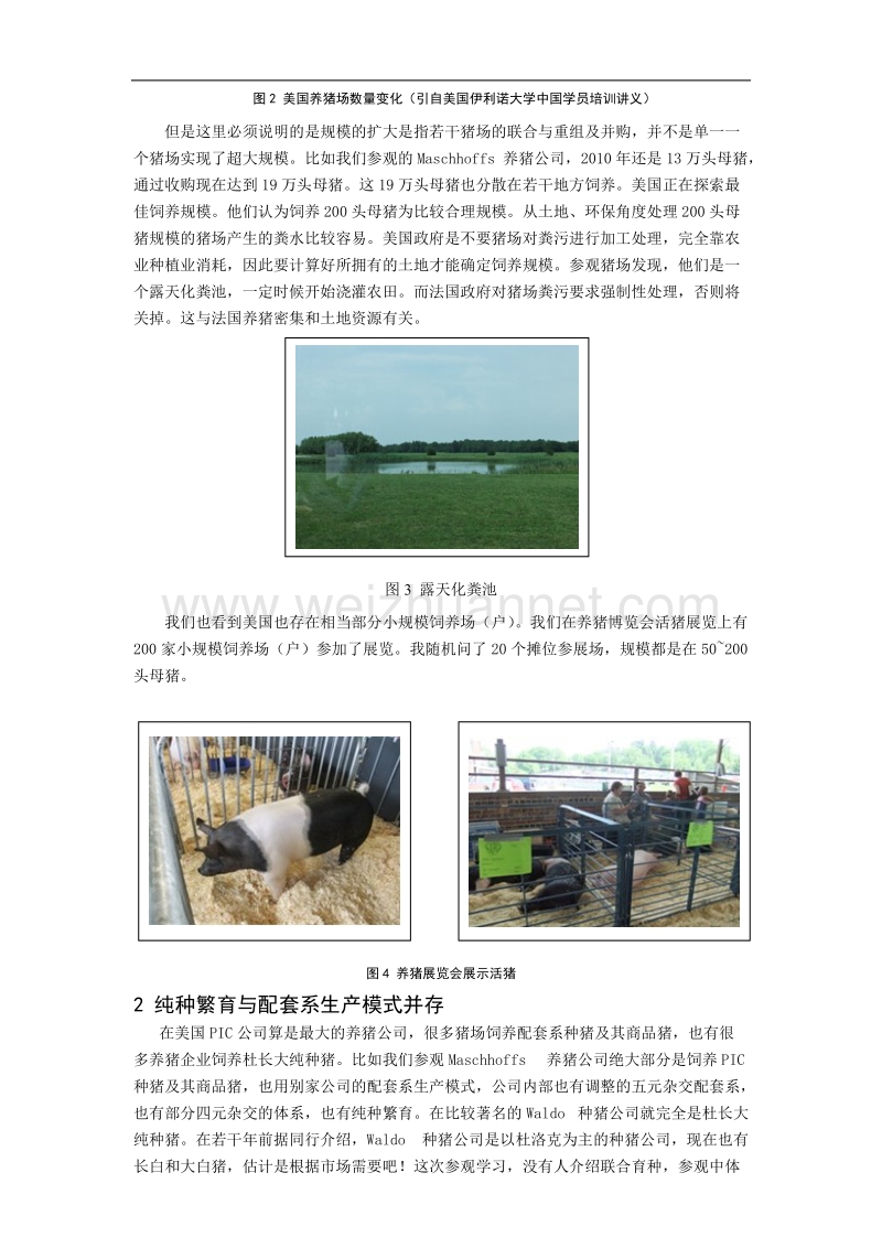 多元化发展的美国养猪业——美国养猪业考察见闻.doc_第2页