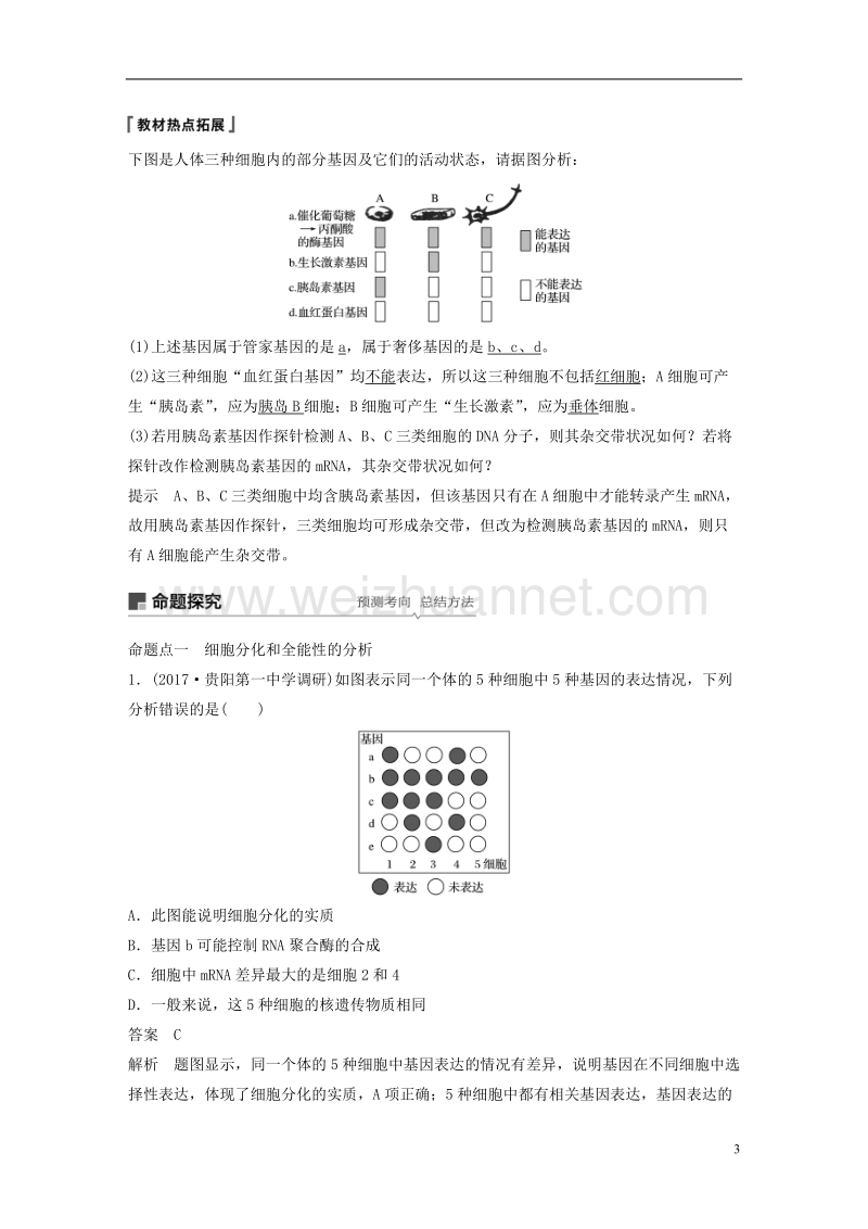 2018-2019学年高考生物大一轮复习 第四单元 细胞的生命历程 第13讲 细胞的分化、衰老、凋亡与癌变学案.doc_第3页