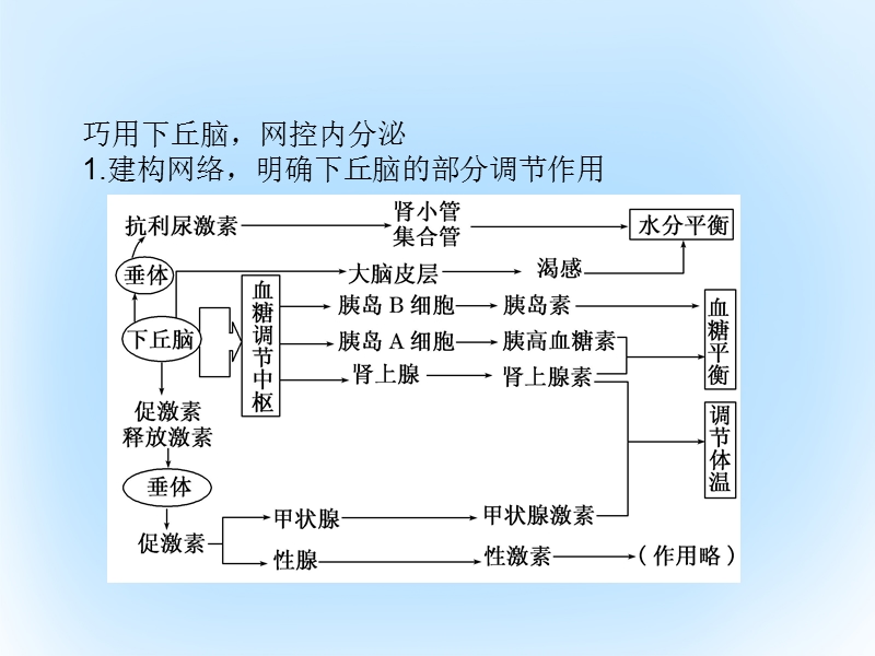 2017年高中生物专题培优（三）课件新人教版必修3.ppt_第2页