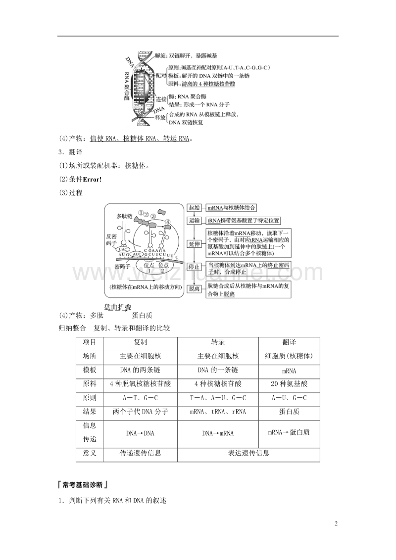 2018-2019学年高考生物大一轮复习 第六单元 遗传的分子基础 第19讲 基因的表达学案.doc_第2页