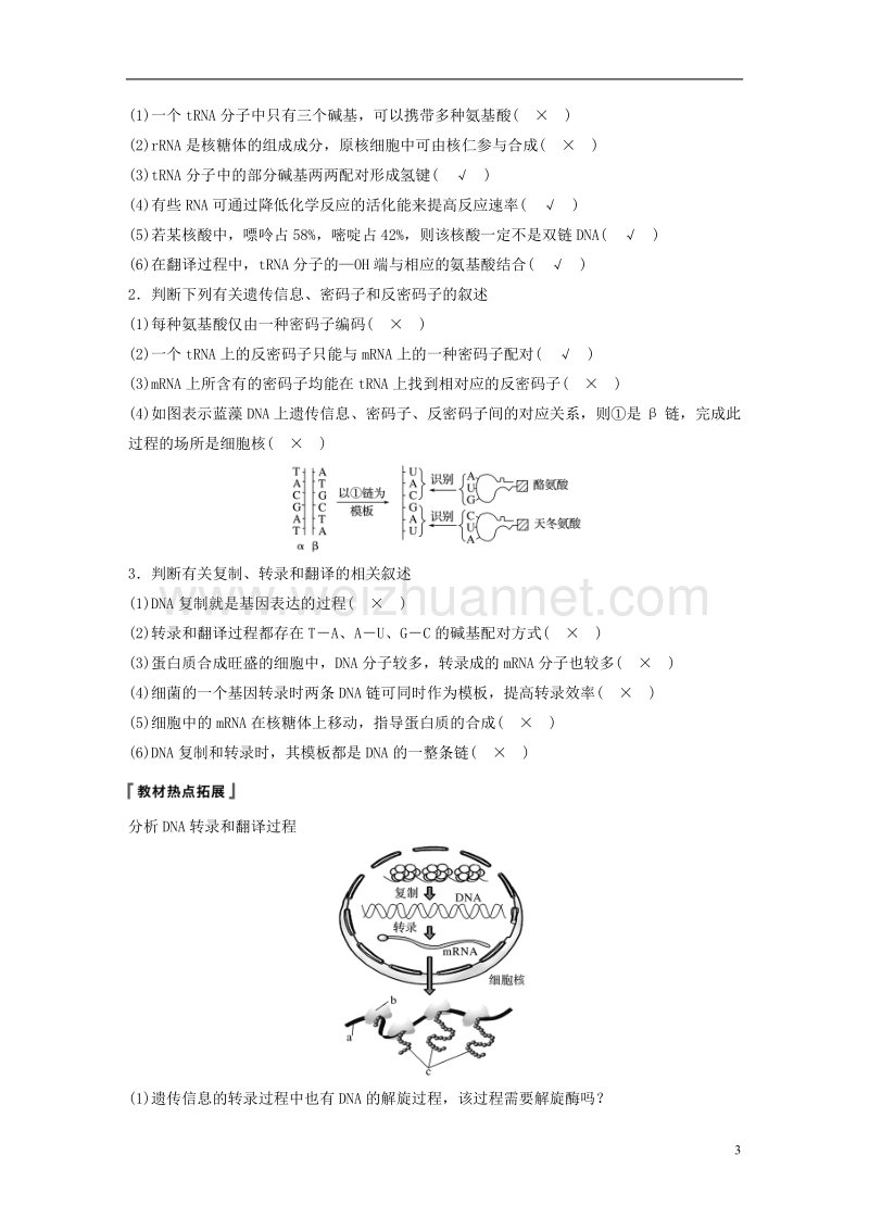 2018-2019学年高考生物大一轮复习 第六单元 遗传的分子基础 第19讲 基因的表达学案.doc_第3页