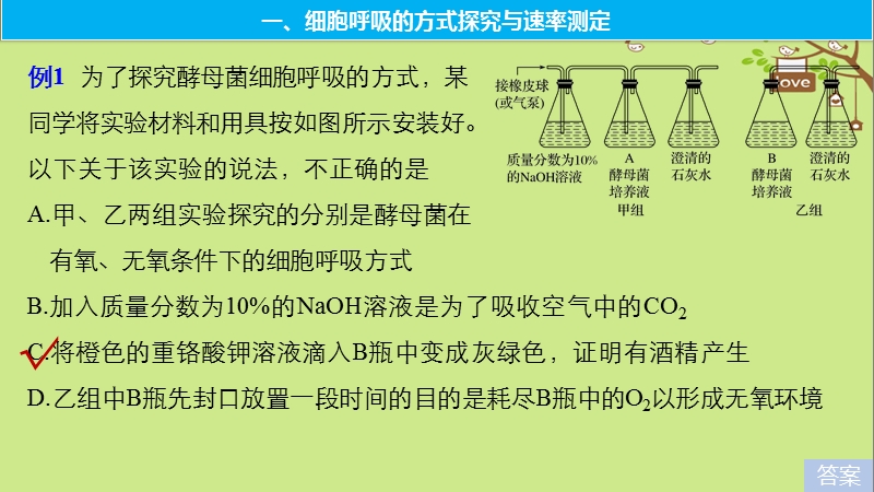 2018-2019学年高考生物大一轮复习 热点题型二 探究光合作用、细胞呼吸的方式及速率的测定方法课件.ppt_第2页