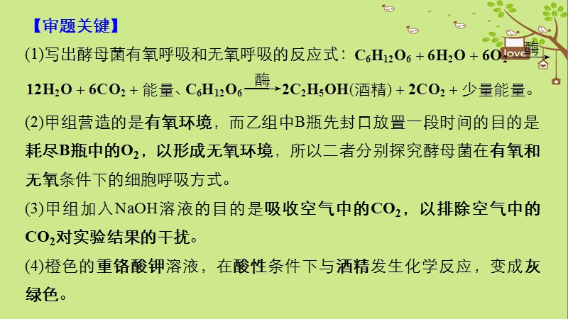 2018-2019学年高考生物大一轮复习 热点题型二 探究光合作用、细胞呼吸的方式及速率的测定方法课件.ppt_第3页