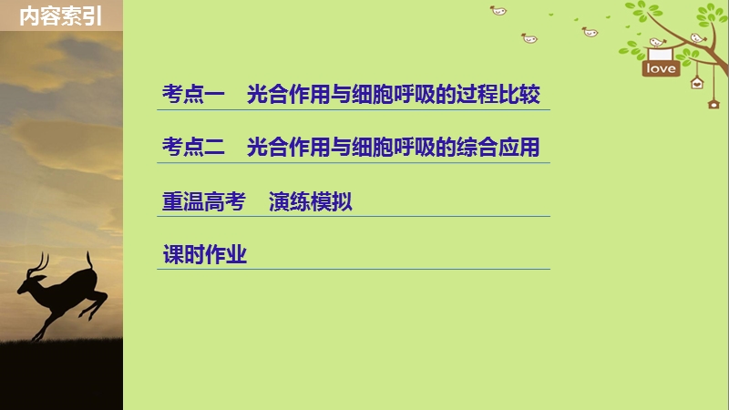 2018-2019学年高考生物大一轮复习 第三单元 细胞的能量供应和利用 第10讲 光合作用与细胞呼吸的综合应用课件.ppt_第3页