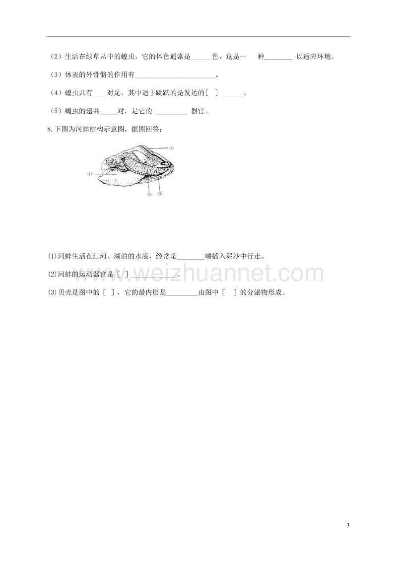 2017年八年级生物上册 5.1.3 软体动物和节肢动物学案（无答案）（新版）新人教版.doc_第3页