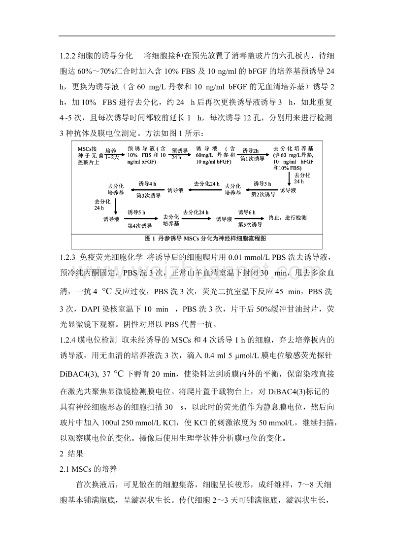 丹参you导鼠骨髓间充质干细胞分化为神经样细胞优化方案及电生理研究.doc_第3页