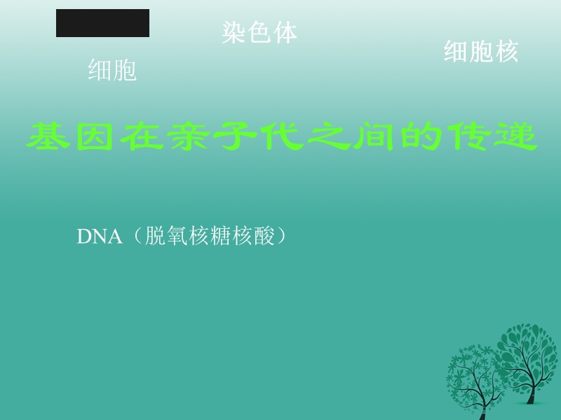 2017年八年级生物下册 第七单元 第二节 基因在亲子间的传递课件3 （新版）新人教版.ppt_第2页