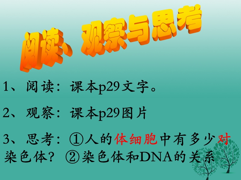 2017年八年级生物下册 第七单元 第二节 基因在亲子间的传递课件3 （新版）新人教版.ppt_第3页