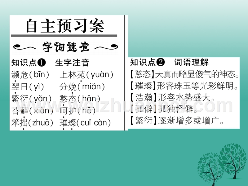 2017年七年级语文下册 第4单元 17 国宝大熊猫课件 苏教版.ppt_第2页