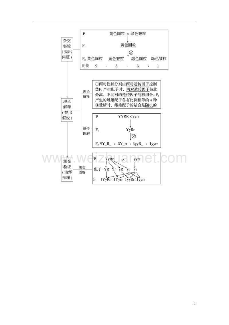 2018-2019学年高考生物大一轮复习 第五单元 遗传的基本规律和人类遗传病 第15讲 基因的自由组合定律学案.doc_第2页