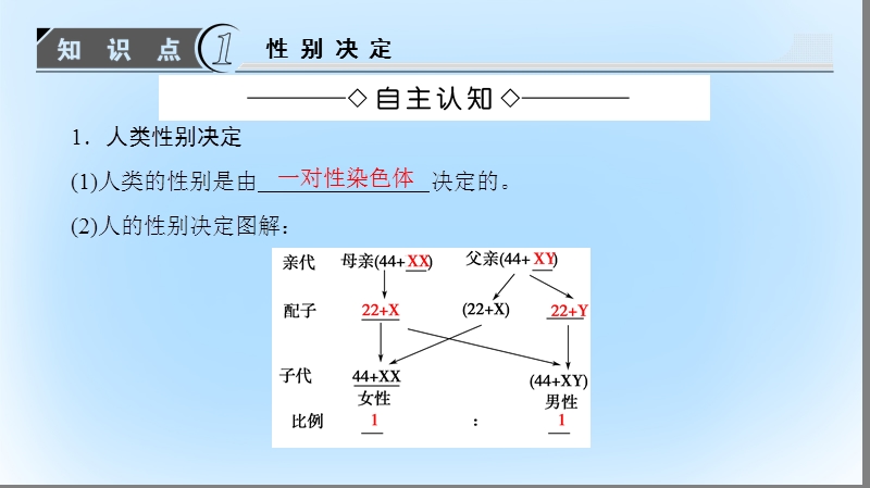 2017年高中生物 第2单元 遗传的基本定律 第1章 基因的分离规律 第4节 伴性遗传课件 中图版必修2.ppt_第3页