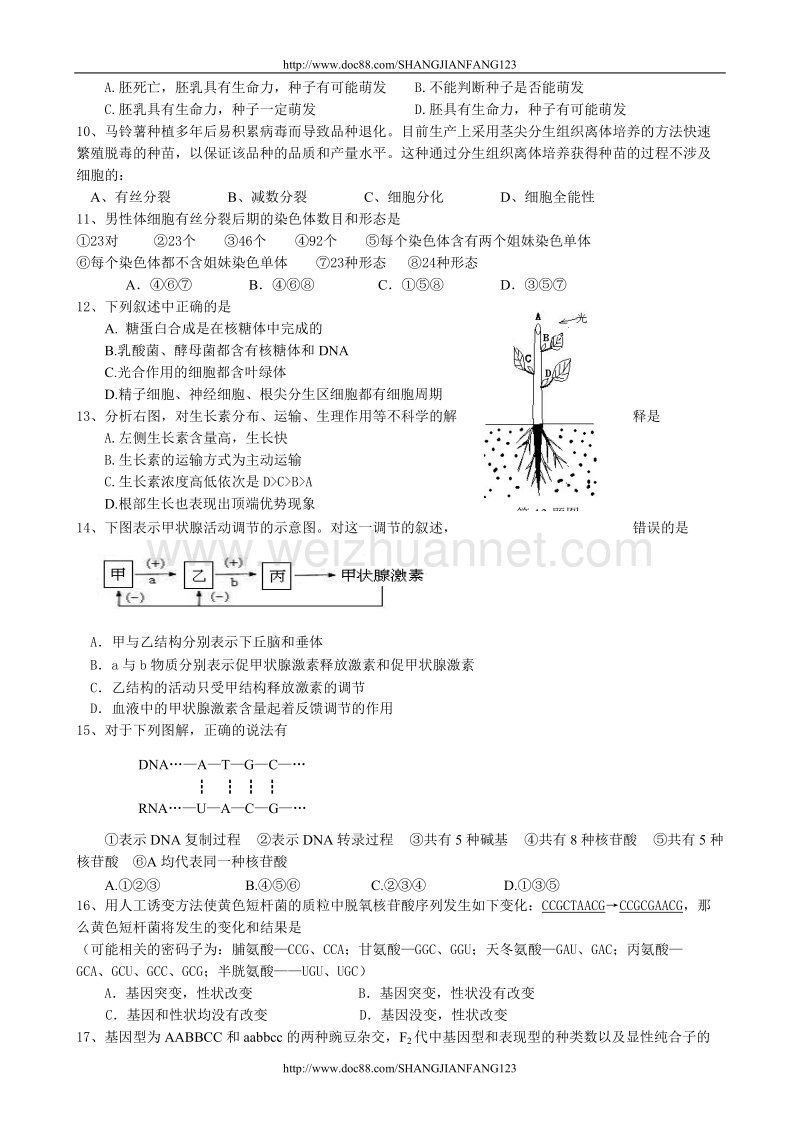 高考生物综合模拟试卷六.doc_第2页