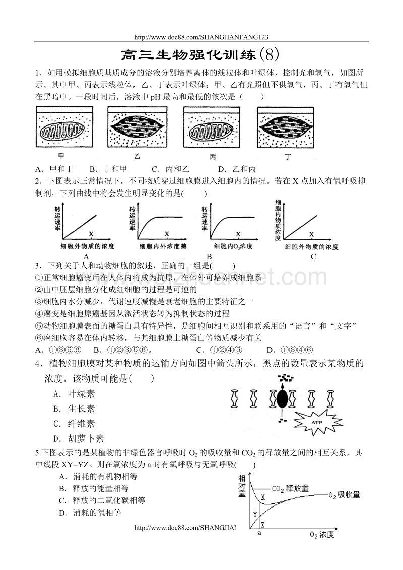 高三生物强化训练(8).doc_第1页