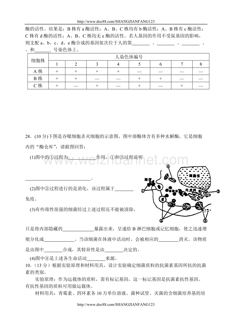 高考生物专题能力训练 生物工程.doc_第3页