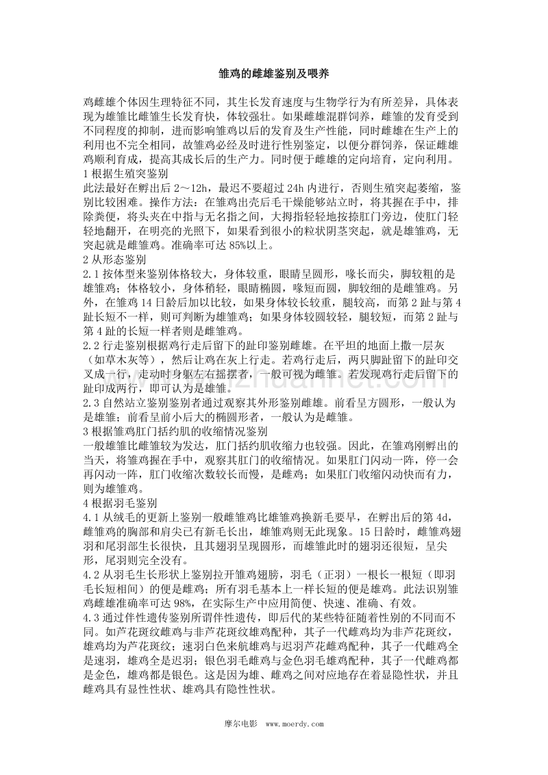 雏鸡的雌雄鉴别及喂养.doc_第1页