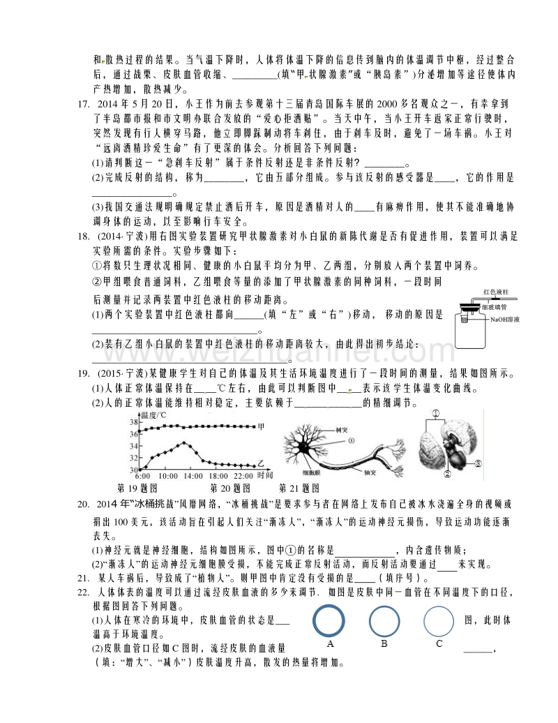 浙江省2016年中考科学二轮复习精选习题十四：生命活动的调节.doc_第3页