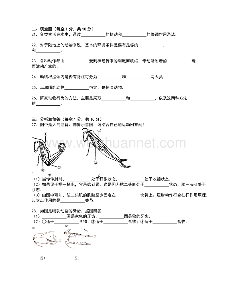 河南省驻马店市上蔡一中2014-2015学年八年级上学期期中考试生物试题（解析版）.doc_第3页